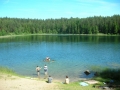 jezioro Gałęziste